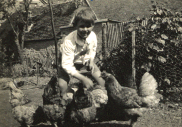 John with chickens