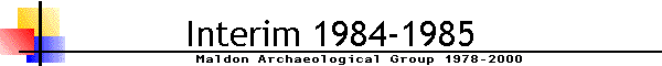 Interim 1984-1985