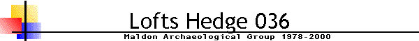 Lofts Hedge 036