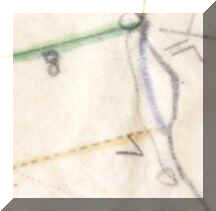 Full Hedgerow  Plan