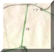 Full Hedgerow  Plan