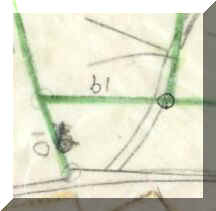 Full Hedgerow  Plan