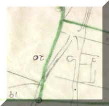 Full Hedgerow  Plan