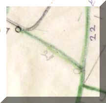 Full Hedgerow  Plan