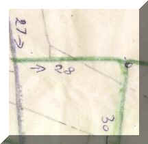 Full Hedgerow  Plan