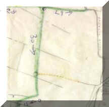 Full Hedgerow  Plan