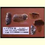 02-nn-79-01-nn-lff1-flint.jpg
