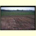 08-02b-80-05-20n-lfe-lfb-trackway-ditch.jpg