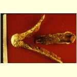 11-15r-82-11-nn-lfn-1st-hoard-finds.jpg